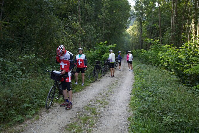 11-Day Private Lite Tour Across Switzerland by Bike from Geneve - Geneva Start: Get Your Bike Set, Then Get Rolling