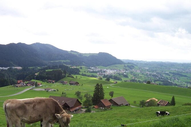 11-Day Private Lite Tour Across Switzerland by Bike from Geneve - Yverdon-les-Bains Day 3: Thermal Baths in Your Backyard