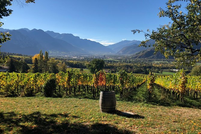 3 Hour Unique Wine Tour - Half Day in Swiss Alps - Getting to Maienfeld without turning your day into logistics