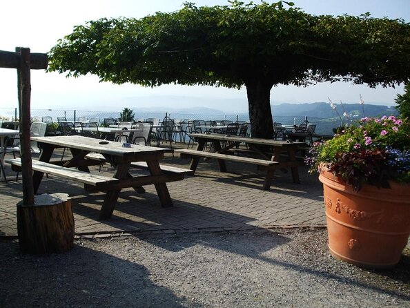 3 in 1: Zurich Walking Tour - Cruise on the Lake - Cable Car Ride to Felsenegg - Key highlights to look for before you go