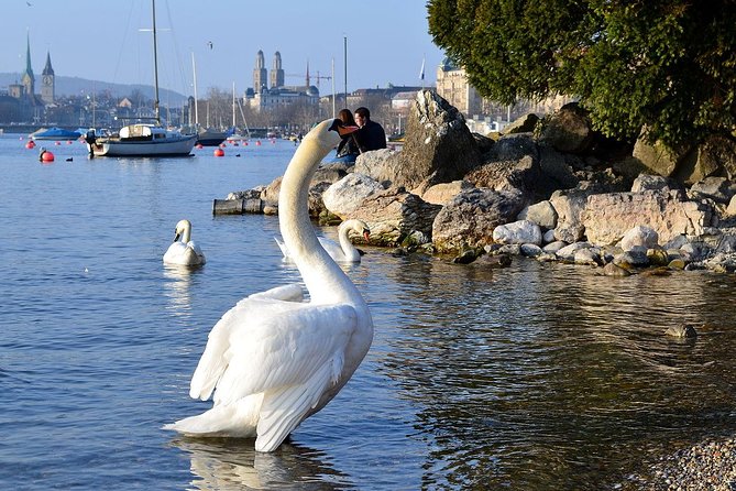 3 in 1: Zurich Walking Tour - Cruise on the Lake - Cable Car Ride to Felsenegg - Felsenegg or Uetliberg cable car plus Planetweg: your mountaintop reset