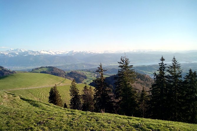4-hour Quad Tour near Zurich - Key things to know before you go