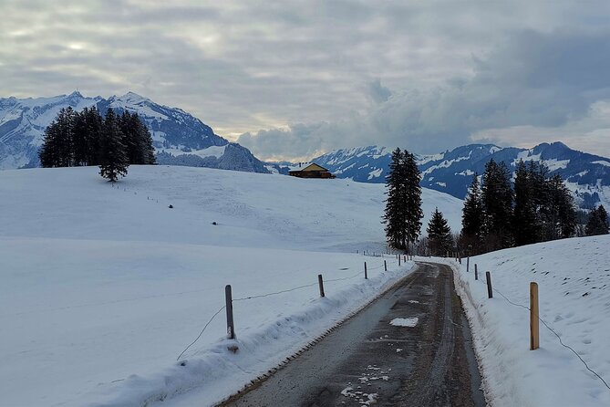 All Inclusive Rhine Falls and Appenzell Private Day Tour from Zurich - Price and value for a private full-day tour from Zurich