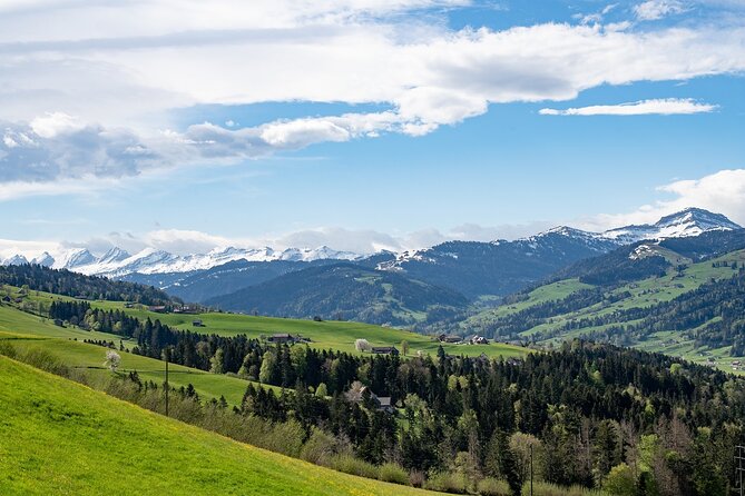 Appenzell Alps Day Trip from Zurich – Farm Life & Cheese Tasting - Stein Farm Life: Fresh Milk and a Real Sense of Daily Rhythm