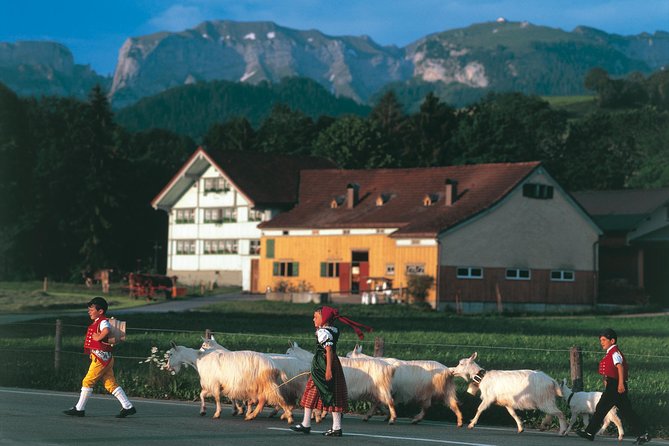 Appenzell Alps Day Trip from Zurich – Farm Life & Cheese Tasting - The Morning Drive Out of Zurich, Lake Zurich to Appenzellerland