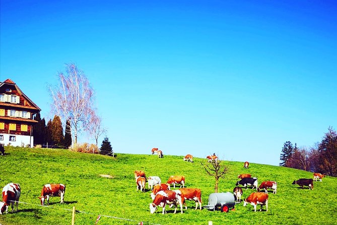 Appenzell and Liechtenstein Tour from Zurich - The Zurich start time, pickup vibe, and how to time your morning