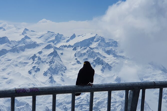 Attraction Ticket: Mt. Titlis by Train and Cableway from Lucerne - The ice cave: where the “wow” gets quieter