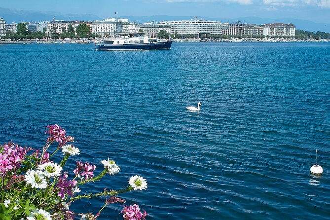 Audioguided sightseeing cruise of Geneva - Jardin-Anglais, Pierre du Niton, and the Geneva water fountains