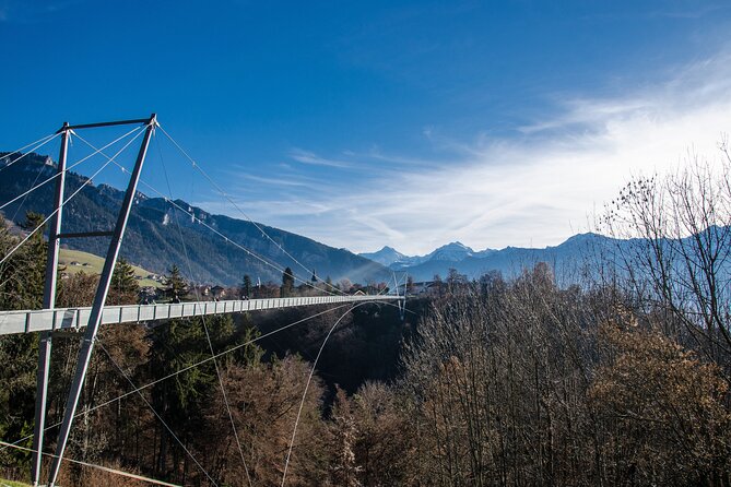 Beatus Caves, Panoramic Bridge, Nature Park Blue Lake and Lake Thun Cruise - The Lake Thun cruise back to Interlaken West: finishing with water and mountains