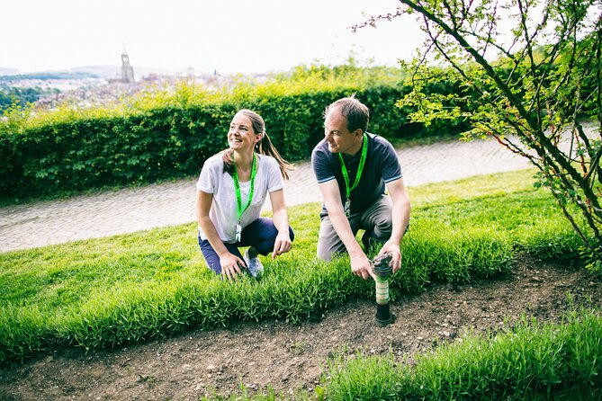 Bern Foxtrail slate - Key points to know before you go