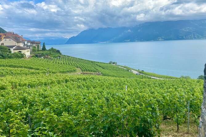 Bern Private Tour - Gruyères , Cheese, and Lavaux's UNESCO Wine - Hotel pickup in Bern, so the day starts easy