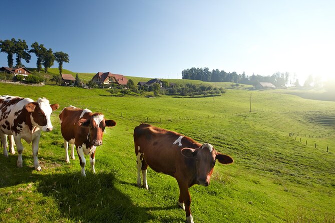 Bern Small-Group Day Trip from Zurich Including Cheese Tasting - Emmentaler Schaukäserei and cheese tasting in Emmental