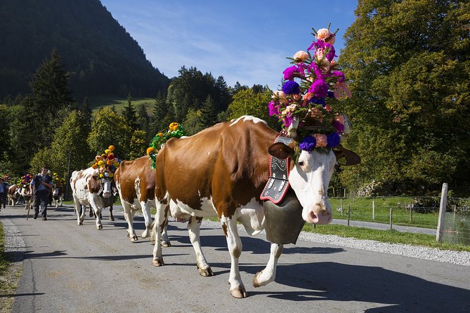 Berne the Capital and Cheese paradise Emmental (Private Tour) - Booking Timing and What That Signals