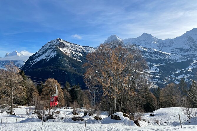 Best of Bernese Oberland & Swiss Countryside Tour (Private Tour) - Private luxury ride and hotel pickup, why it matters more than it sounds