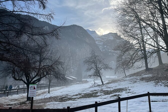 Best of Bernese Oberland & Swiss Countryside Tour (Private Tour) - Lunch, optional add-ons, and how to avoid schedule stress