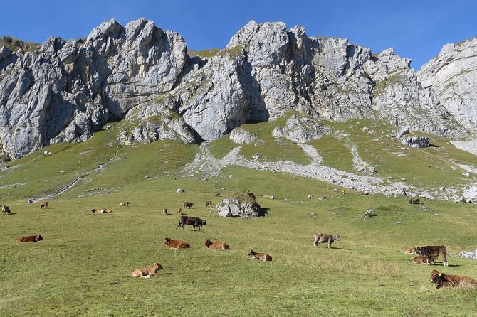 Best of the Uri Alps: A fjord-like lake, glorious peaks and sustainable tourism - Pick your adventure level with 36 gondolas and custom hiking