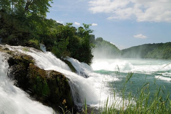 Black Forest and Rhine Falls Day Trip from Zurich - The Black Forest drive: scenery, timing, and why the bus ride matters