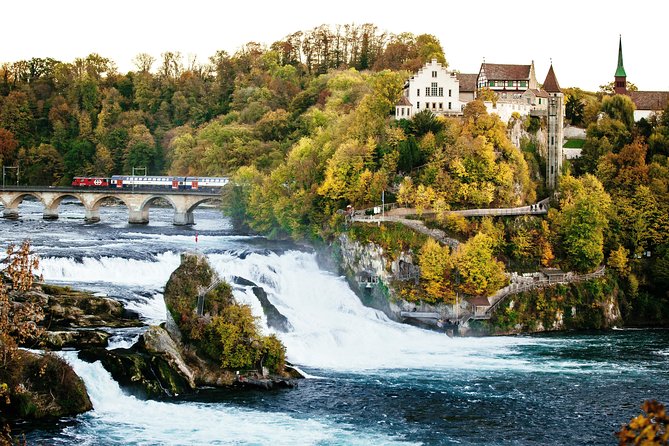 Black Forest and Rhine Falls Day Trip from Zurich - Lake Titisee free time and Black Forest cake choices