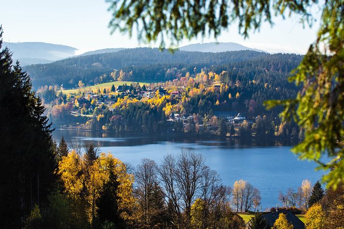 Black Forest and Rhine Falls Day Trip from Zurich - Lenzkirch back toward Switzerland: another look at the region