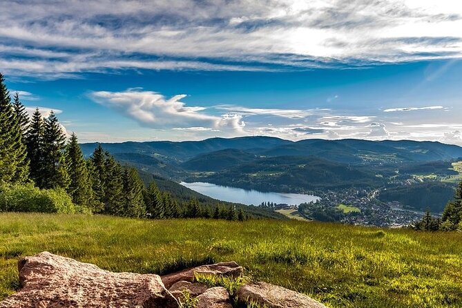 Black Forest and Rhine Falls Day Trip from Zurich - Rhine Falls: Europe’s largest waterfall and your best photo window