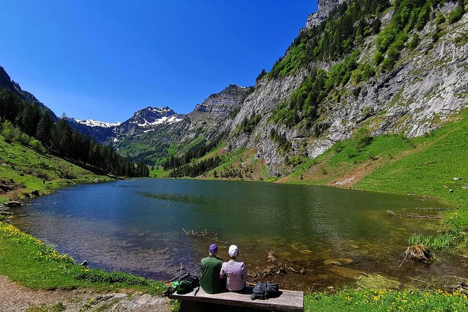 Breathtaking Private Hike with a Local Swiss Expert (1 day trip) - Lake Zurich stop: a calm start and easier access to nature