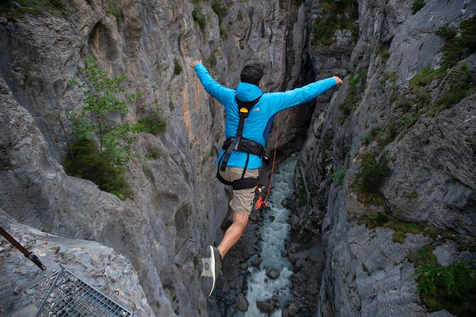 Canyon Swing with OUTDOOR - Price and value: is $185.55 worth it?