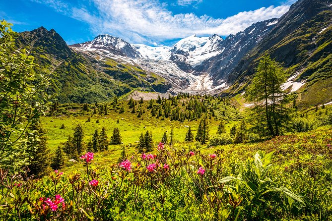 Chamonix and Mont Blanc Private Day Trip from Geneva - How this private Geneva to Chamonix day really saves you time