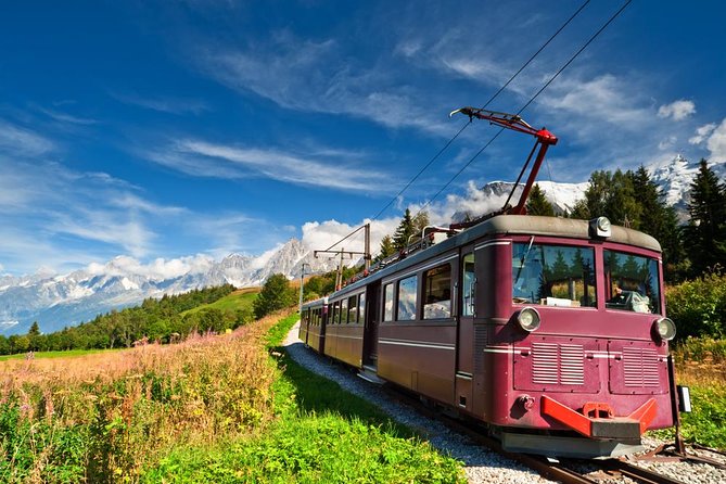 Chamonix and Mont Blanc Private Day Trip from Geneva - Price and value: why $533.89 can make sense, or not