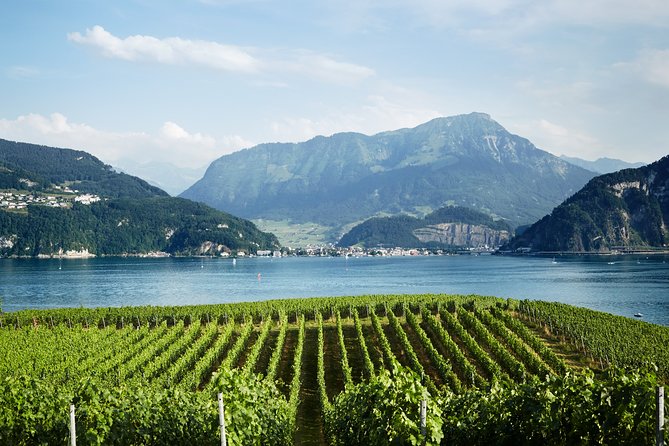 Chocolate, Cheese and Wine Tour in Luzern region - What Your Group Size Feels Like (Private Means Focused)
