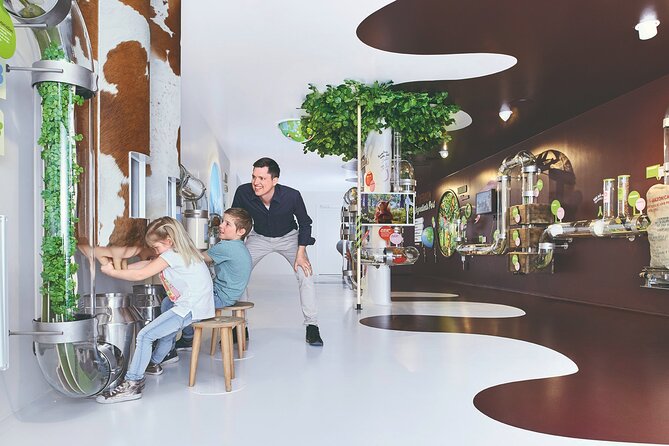 Chocolate factory Individual experience tour - Key highlights to know before you book