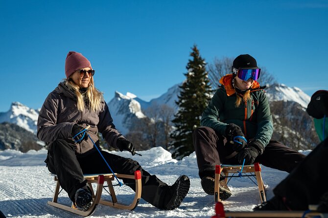 Day Sledding in Interlaken - What You Really Get for the Price