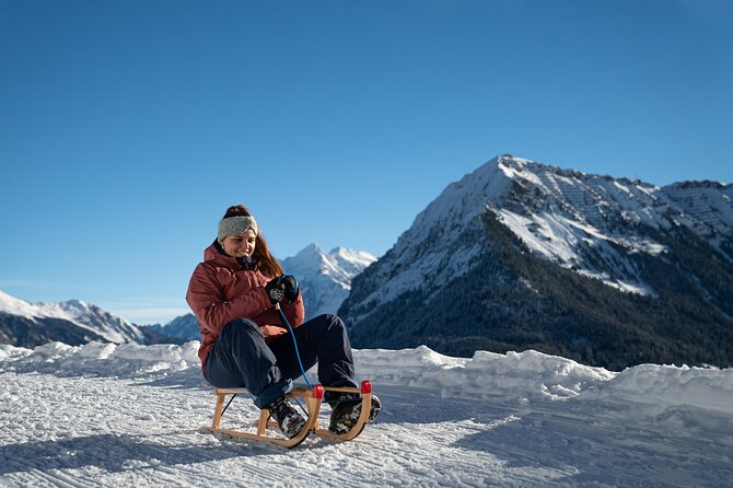 Day Sledding in Interlaken - Who This Interlaken Day Sledding Tour Fits Best