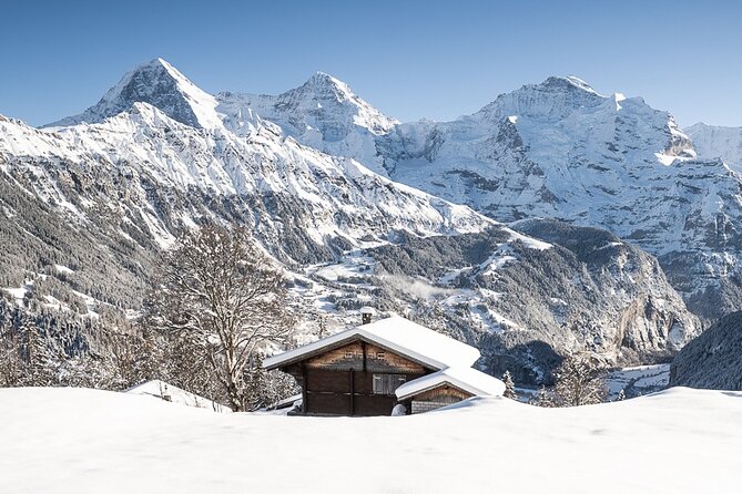 Day Sledding in Interlaken - The Hour-Long Sled Run Through Snowy Forests