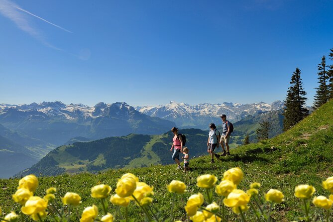 Day Trip to Lucerne and Mount Stanserhorn Including CabriO Cable Car Ride - Marmot Park and the short hike: what to do at the summit