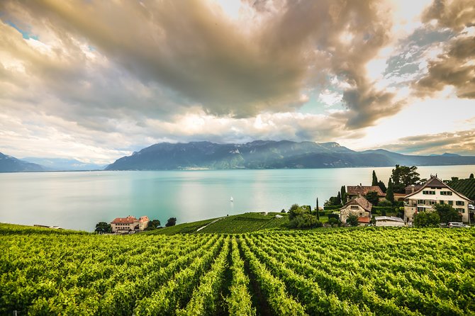 Day Trip to Montreux, Chaplin's World & Chillon Castle& apéritif - A Swiss Riviera Hits-List in One Long Day