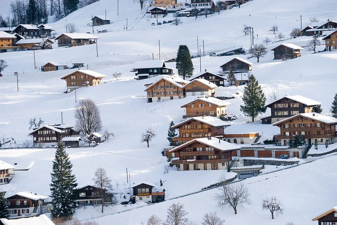 Daytrip to Jungfraujoch Top of Europe and Interlaken from Zurich - Price and Value: Is $434.75 a Smart Spend