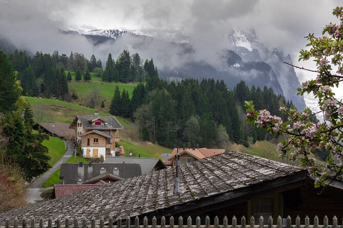 Daytrip to Swiss Villages: Interlaken Grindelwald & Lauterbrunnen - Price and value: what $158.13 gets you, and what it doesn’t