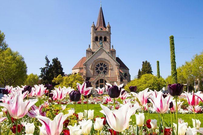 Discover Basel’s most Photogenic Spots with a Local - Price and group size: why it feels personal