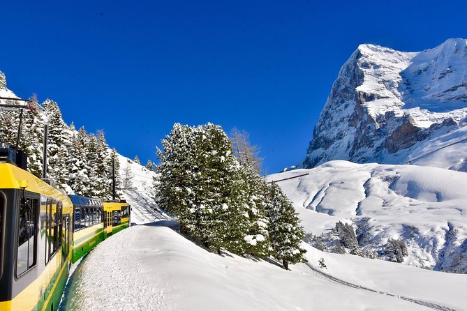 Eiger and Jungfrau Glacier Panorama Tour from Zurich - How Grindelwald fits in, and why the timing feels tight