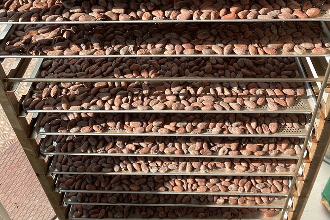 Ethical Chocolate Tour - The third tasting venue ties the whole theme together