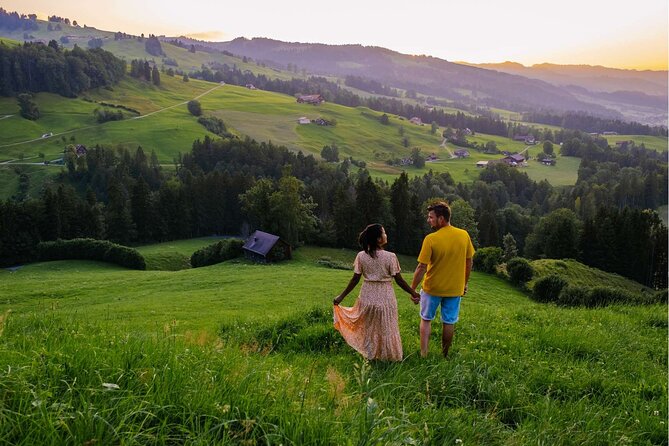 Experience Swiss Countryside on a Private Tour by Car from Zurich - Key highlights worth getting excited about