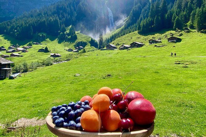 Flavours of Switzerland Luxury Private Tour from Zurich & Lucerne - Cheese Factory Visit and Swiss Mountain BBQ in the Alps