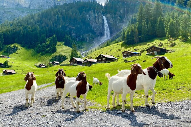 From Zurich: The most beautiful insider spots in Switzerland (private 1-day tour) - Brunnen and the Alps Above Lake Lucerne