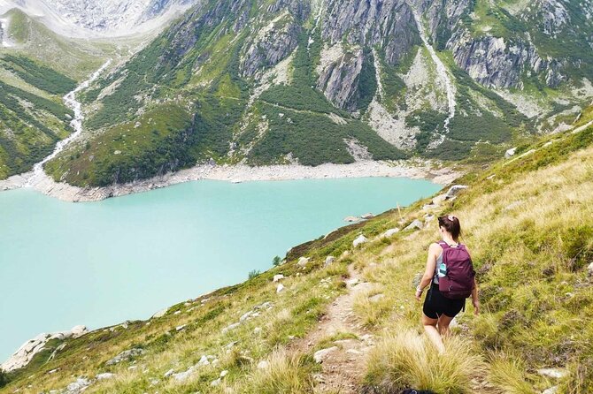 Full-Day Hiking Swiss Alps and Lake swim with Pick-up - Who should book this full-day Alps hike from Lucerne