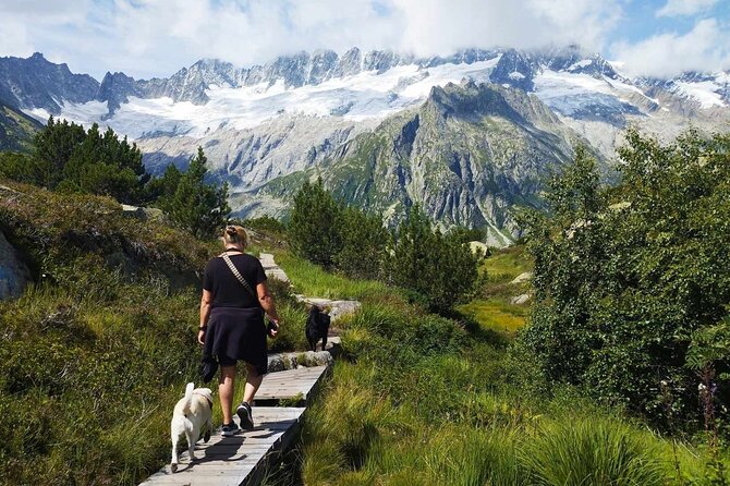 Full-Day Hiking Swiss Alps and Lake swim with Pick-up - Lake Lucerne: swim if it is good, bistro if it is not