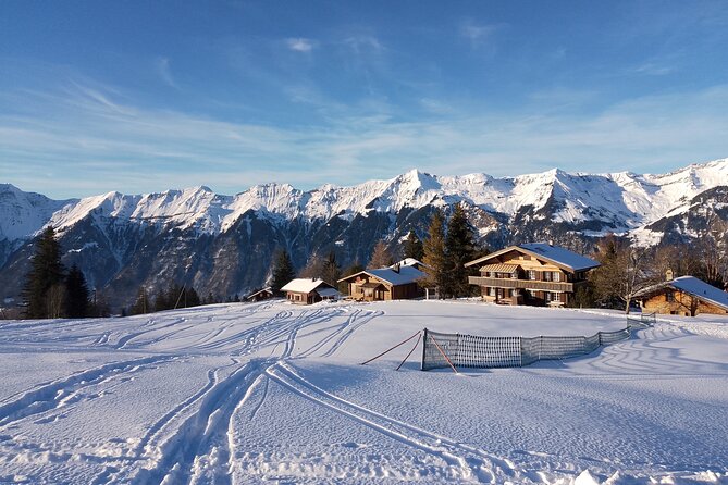 Fully organized Ski Experience for Private Groups - The 2-Hour Beginners Lesson: Turns, Speed Control, and Lifts