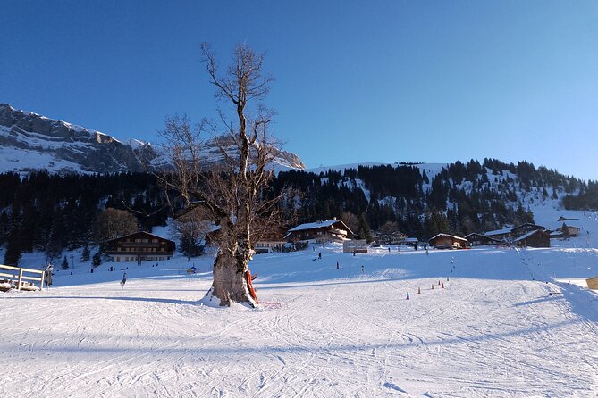 Fully organized Ski Experience for Private Groups - Timing Back to Interlaken, Plus Optional Afternoon Plans