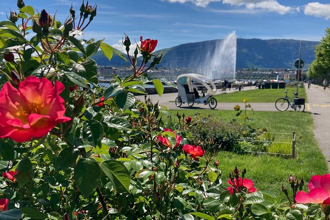 Geneva Highlights Tour by TaxiBike - Rhône and Arve color confluence: quick science, very Geneva