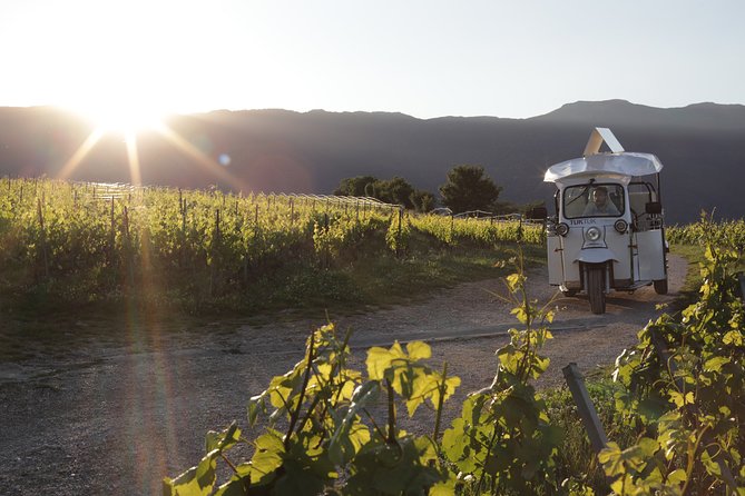 Geneva Panoramic & Tasting Vineyards Tour in an Tuk Tuk - Key Moments That Make This Tour Worth Considering