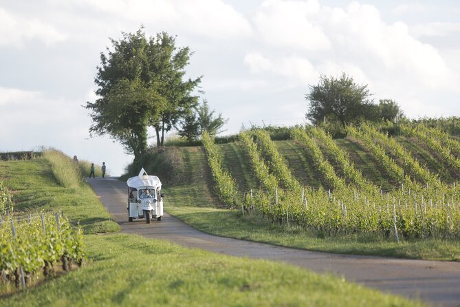 Geneva Panoramic & Tasting Vineyards Tour in an Tuk Tuk - Peissy and Its Vineyard Surroundings: Where the Scenery Gets Purpose